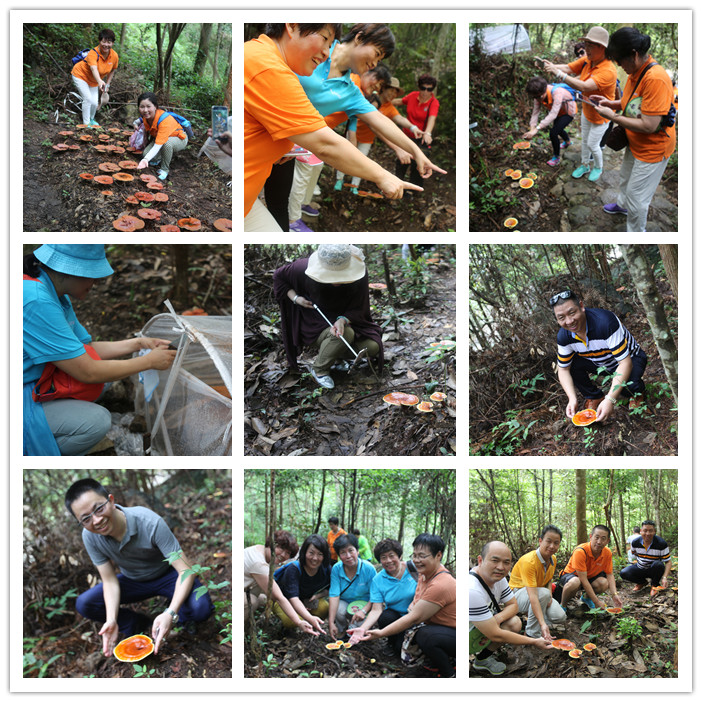 圖片關鍵詞 圖片關鍵詞