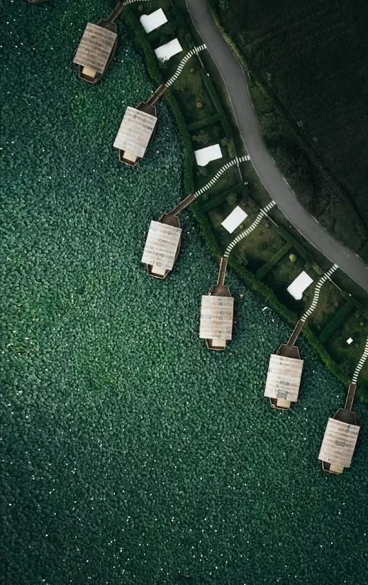 國(guó)家蘑菇地理：中國(guó)哪里的蘑菇最好吃？