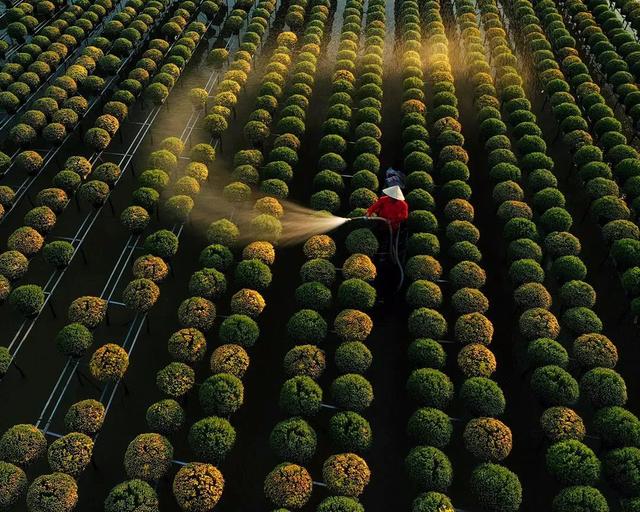 國(guó)家蘑菇地理：中國(guó)哪里的蘑菇最好吃？