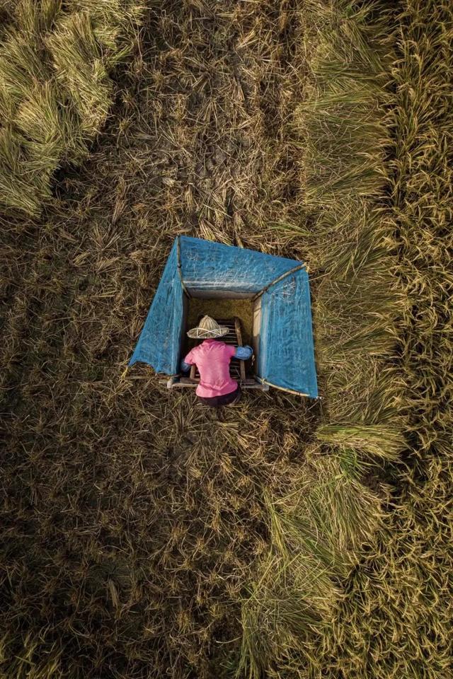 國(guó)家蘑菇地理：中國(guó)哪里的蘑菇最好吃？