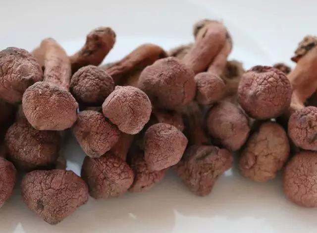 國(guó)家蘑菇地理：中國(guó)哪里的蘑菇最好吃？