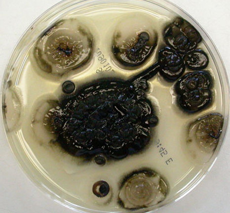 圖片關鍵詞 https://mmbiz.qpic.cn/mmbiz_png/EzTg6Bqtpm0WKZfQibicEjcQDNRWNq3jm7R1O13yKbpxibaicolLZIbOF5LU6gR9iazXNRiaLcwHXLXvzalbtAofl5YQ/640?wx_fmt=png