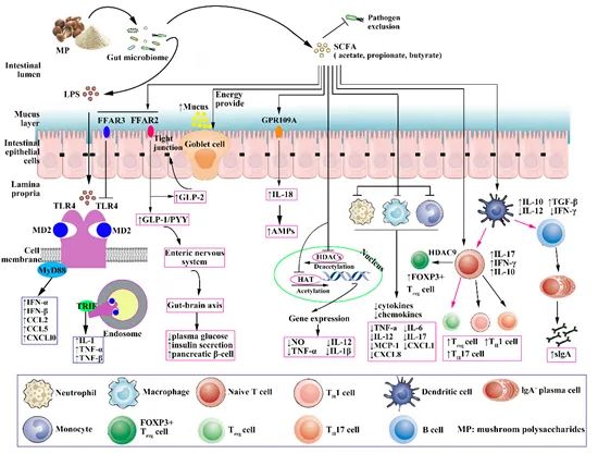 圖片關(guān)鍵詞 https://mmbiz.qpic.cn/mmbiz_jpg/OnRbAd1HL44da8qpWCnn2RmJEB4eNMYmrvlicur28g6AsHtayHu6ebdtms8Pqn6miczyOCjMheVms0DTvPHsThicw/640?wx_fmt=jpeg
