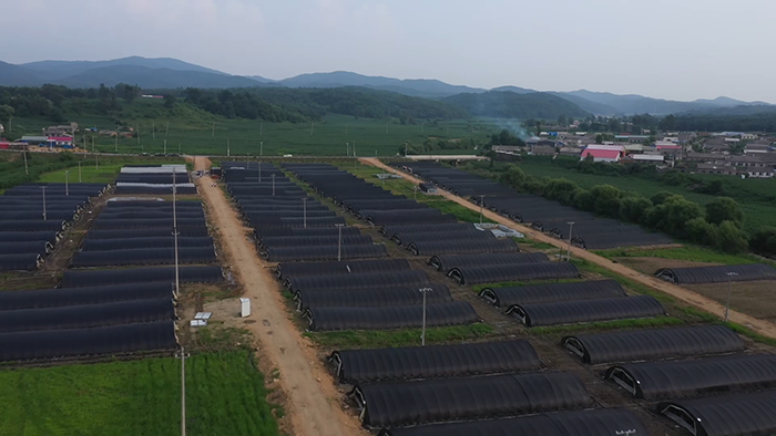 圖片關(guān)鍵詞 圖片關(guān)鍵詞