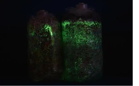 圖片關鍵詞 圖片關鍵詞