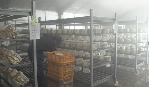 圖片關鍵詞 圖片關鍵詞