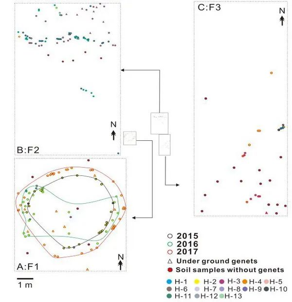 圖片關(guān)鍵詞 圖片關(guān)鍵詞