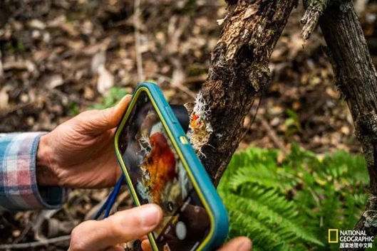 圖片關鍵詞 圖片關鍵詞
