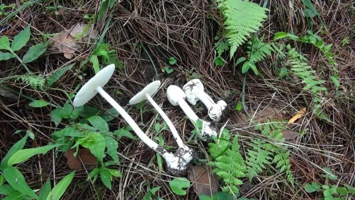 圖片關鍵詞 圖片關鍵詞