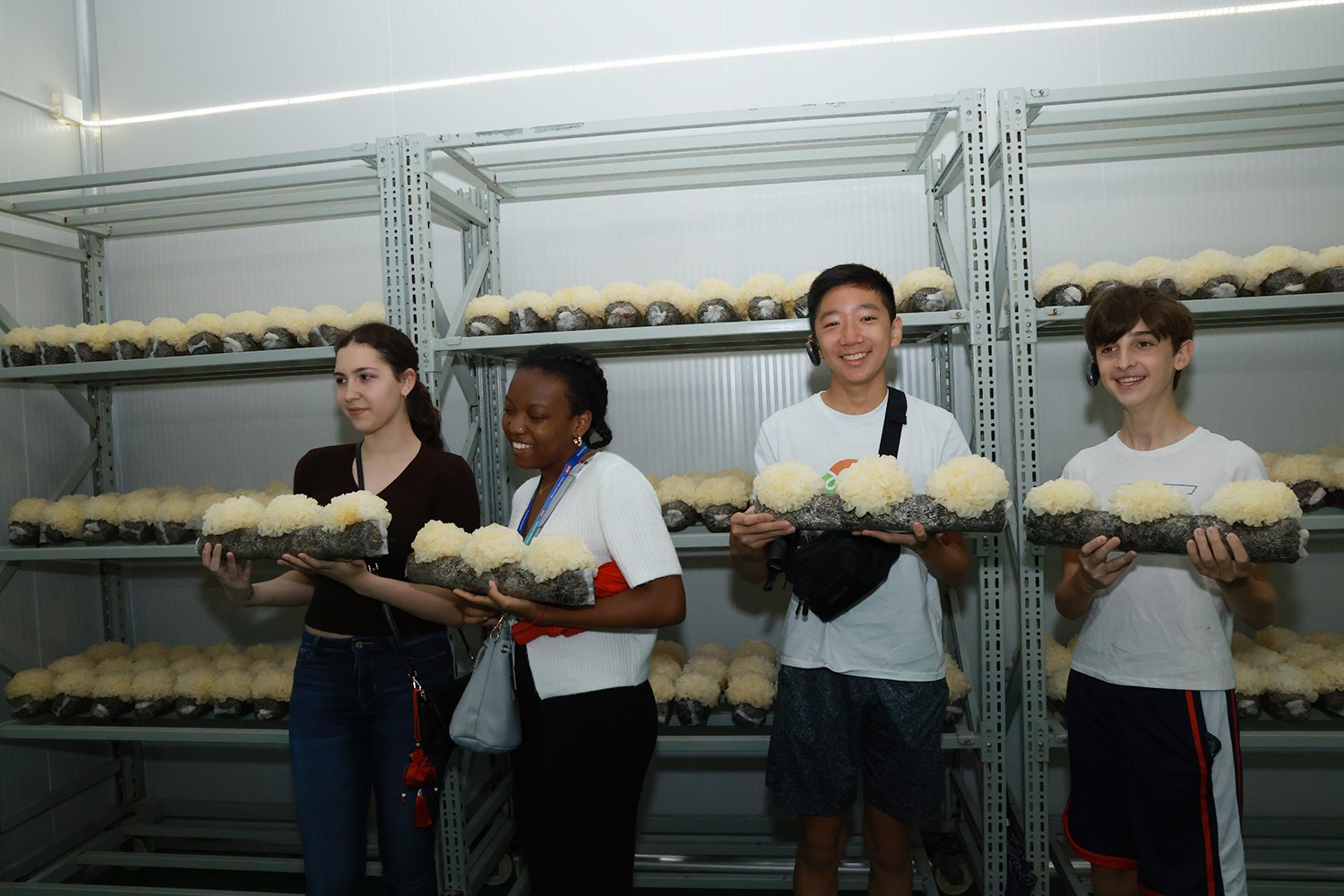 圖片關鍵詞 圖片關鍵詞